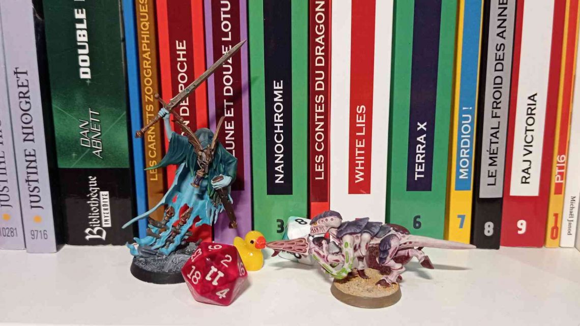 Séance du 21 novembre 2025