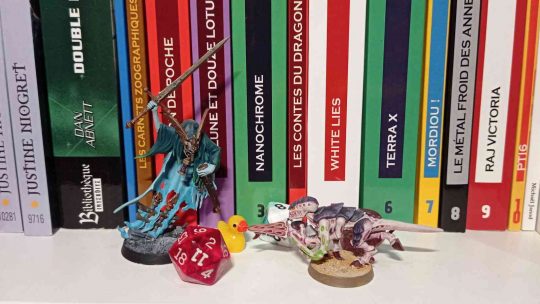 Séance du 21 novembre 2025